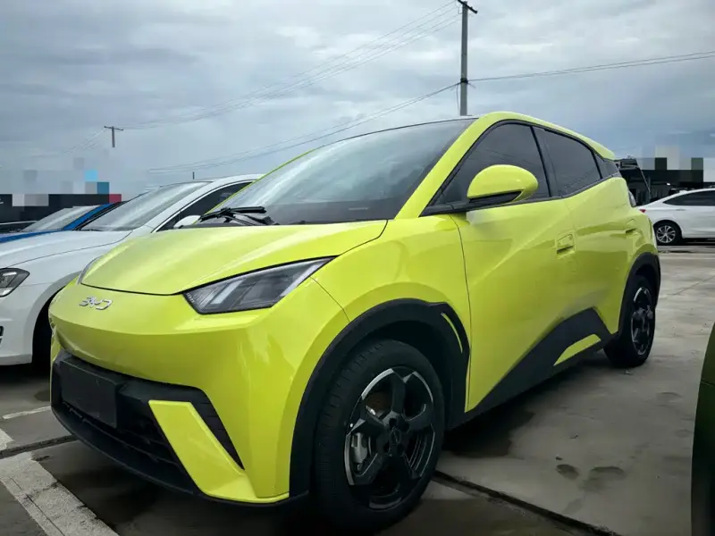 BYD Seagull
