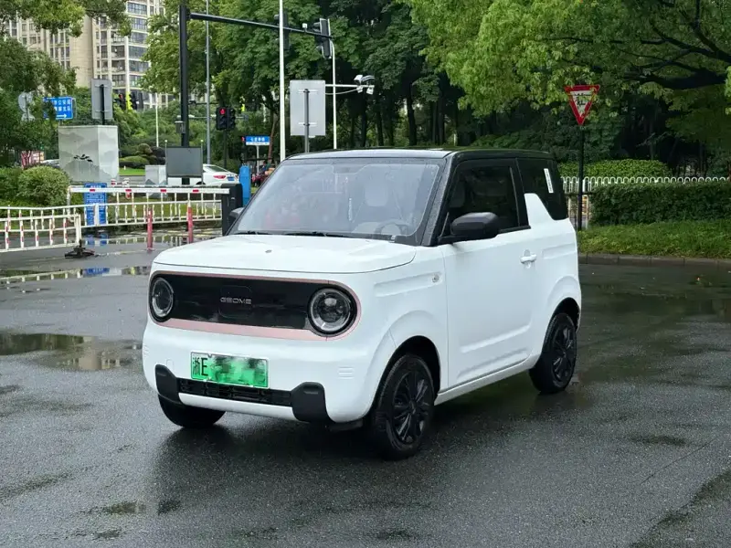 Galaxy Panda Mini (Panda)