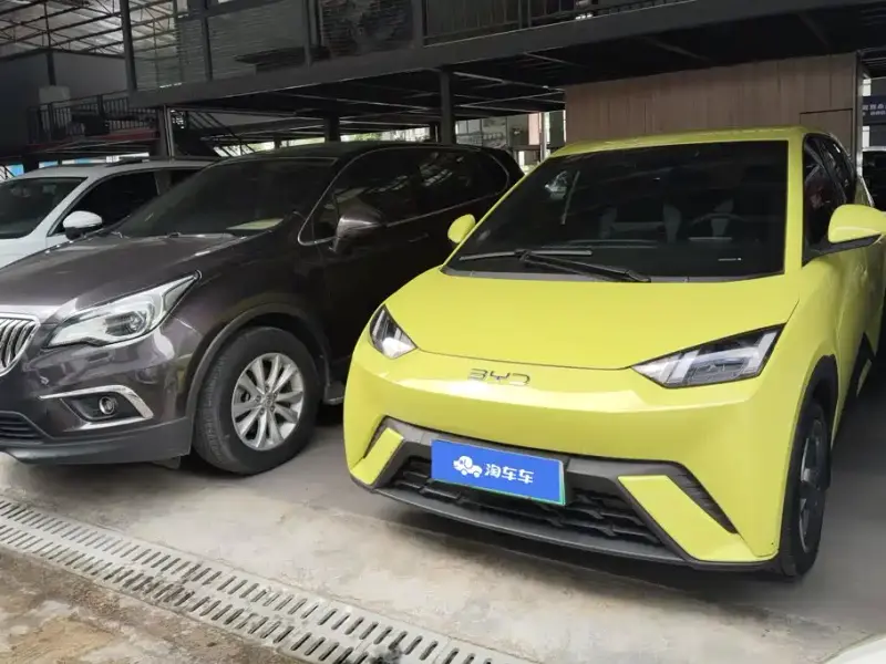 BYD Seagull