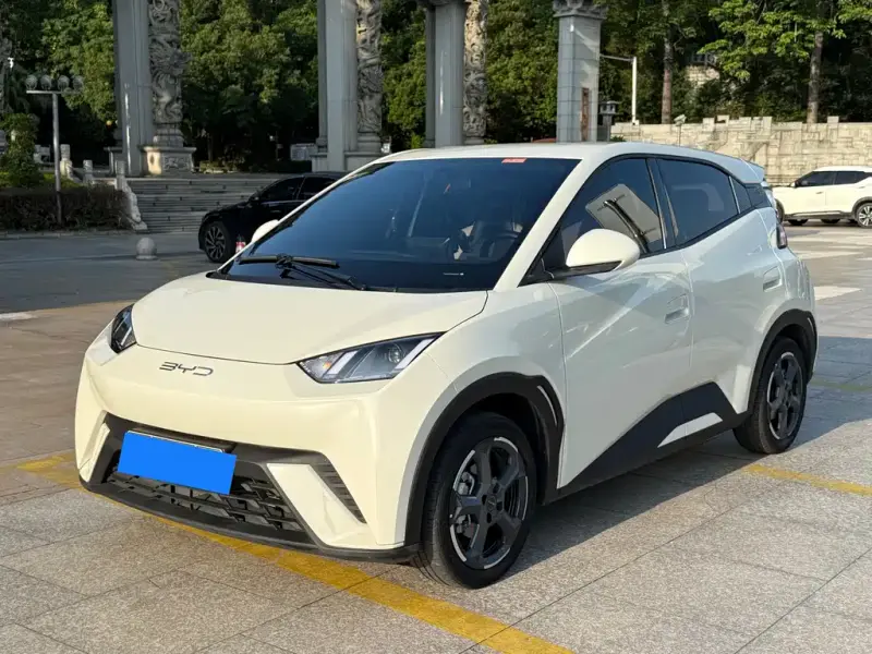 BYD Seagull