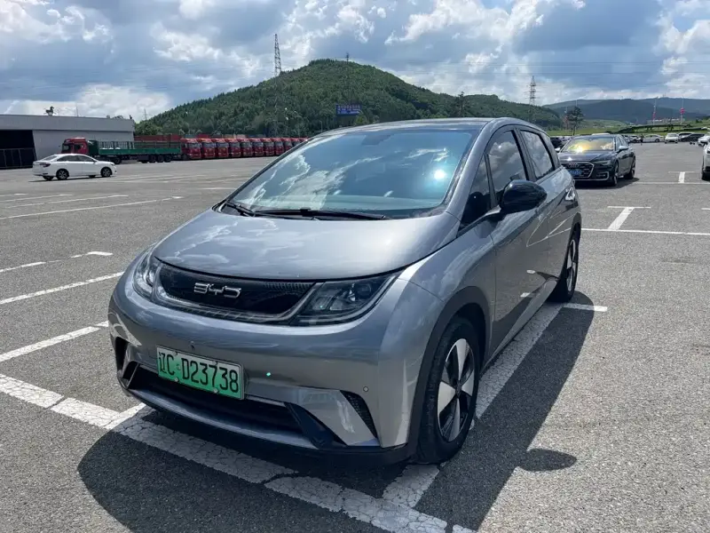 BYD Dolphin