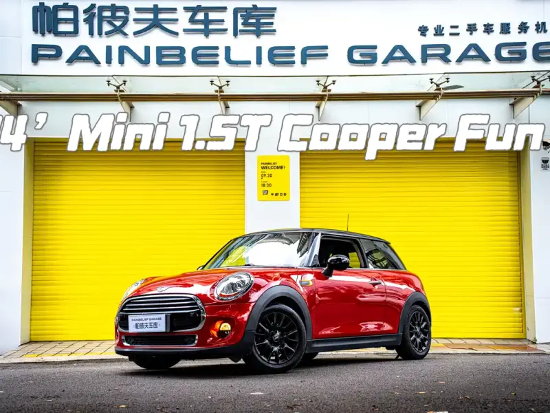 MINI Mini