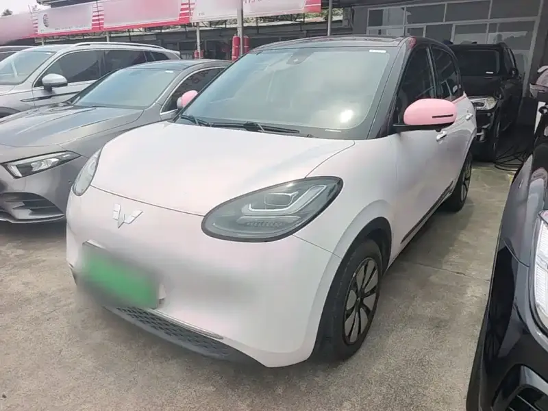Wuling Bingo