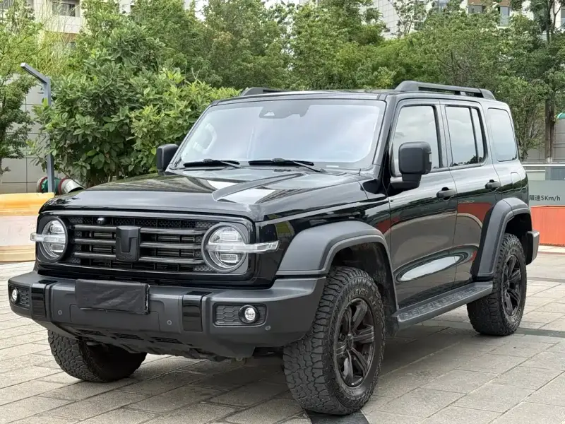 Tank 300