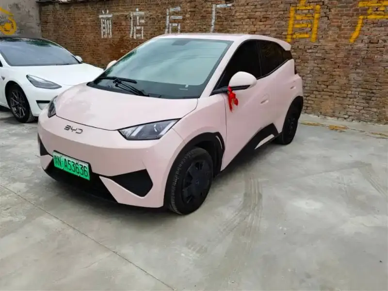 BYD Seagull