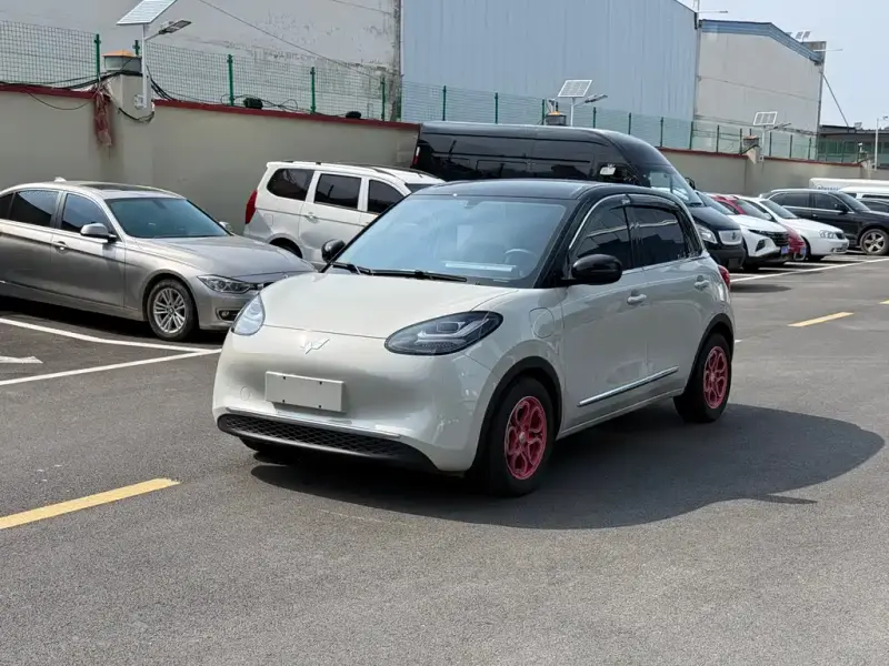 Wuling Bingo