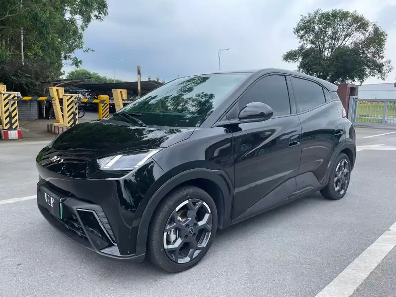 BYD Seagull