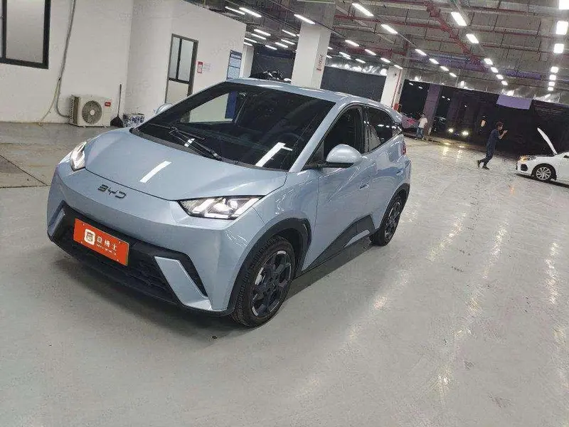 BYD Seagull