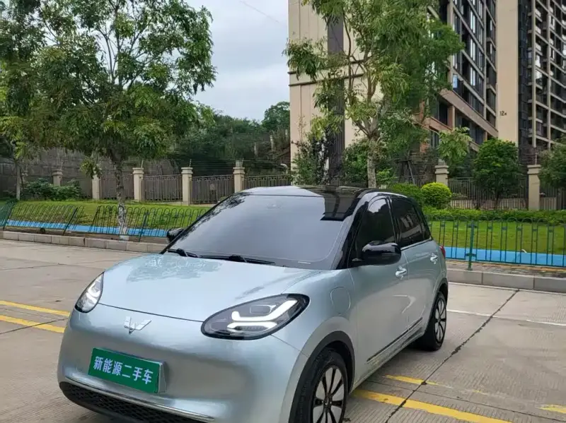 Wuling Bingo