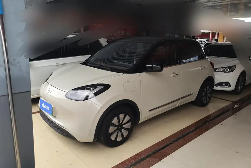 Wuling Bingo