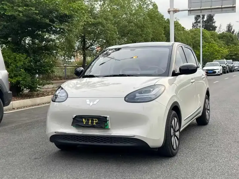 Wuling Bingo