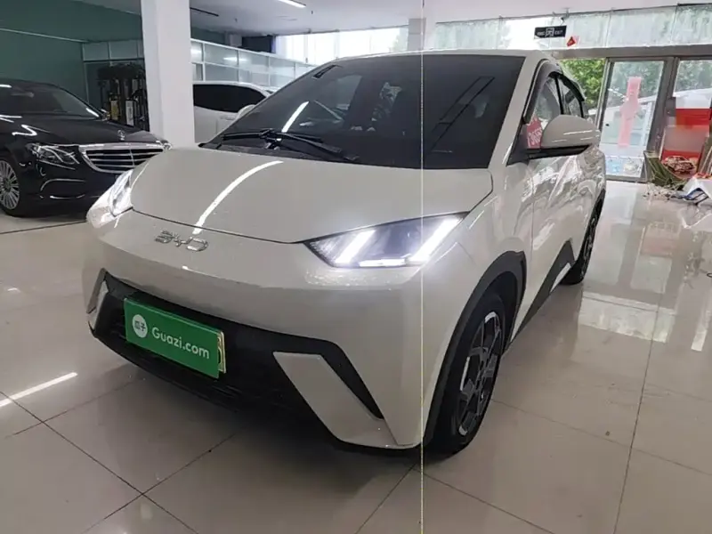 BYD Seagull