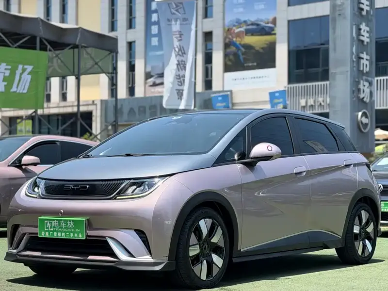BYD Dolphin