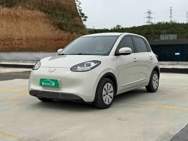 Wuling Bingo