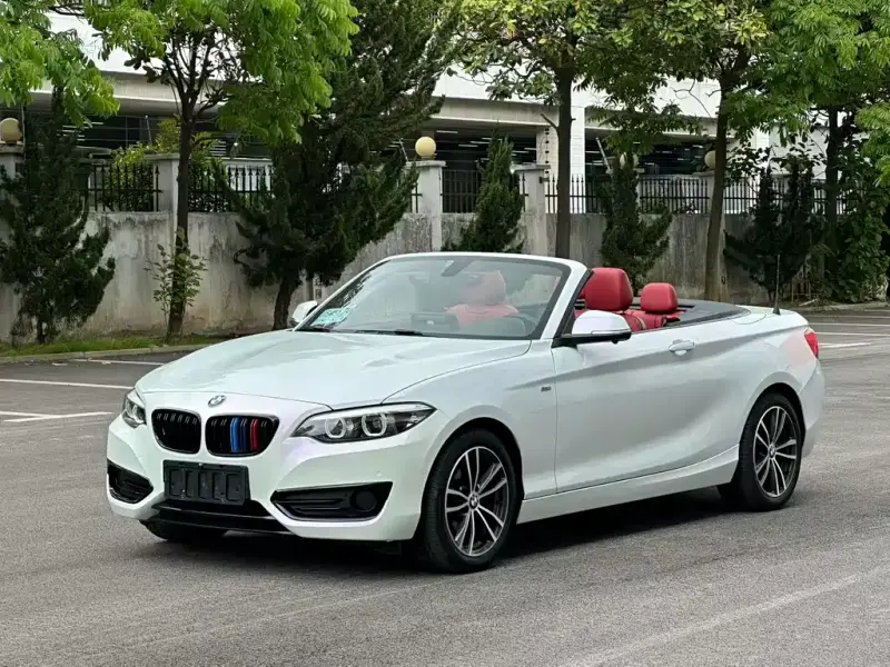 BMW 2 Series (Import)