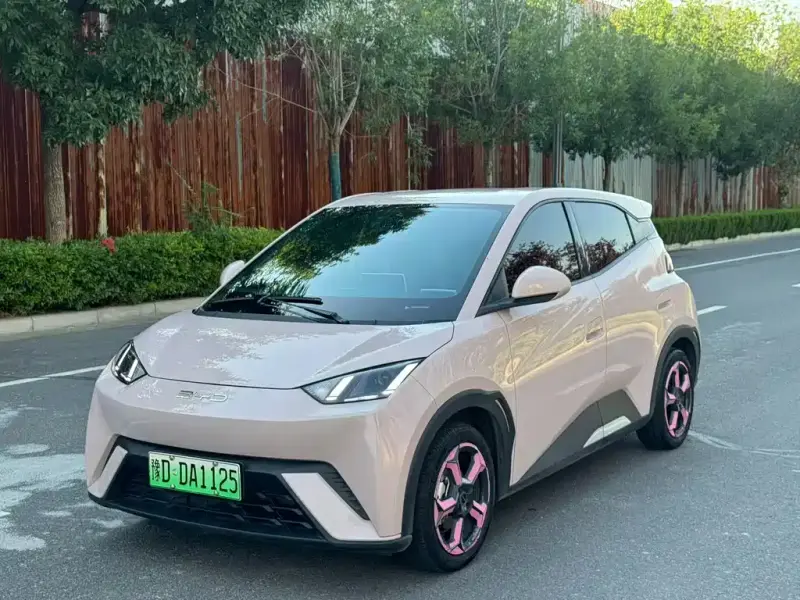 BYD Seagull