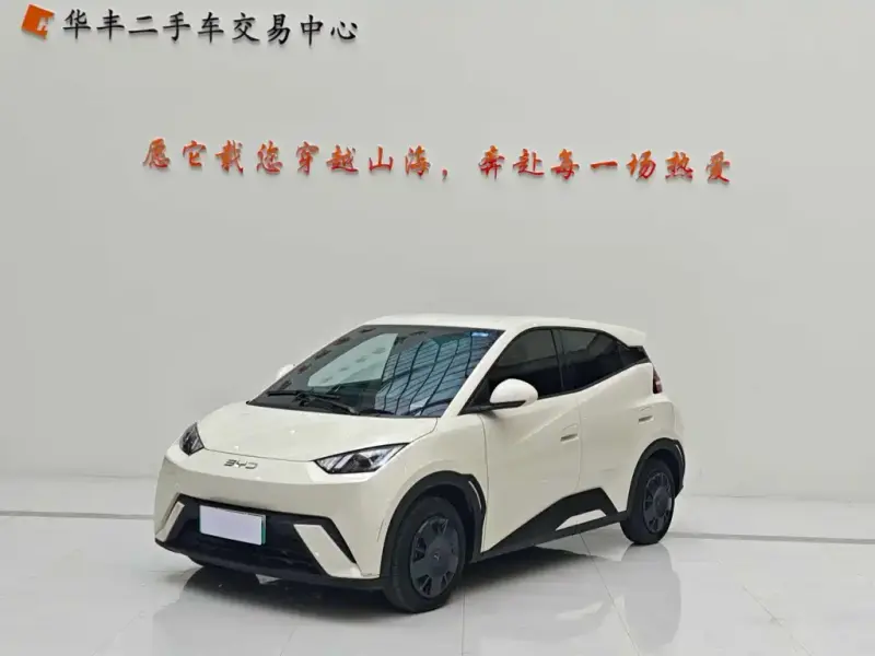BYD Seagull