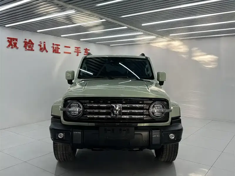 Tank 300