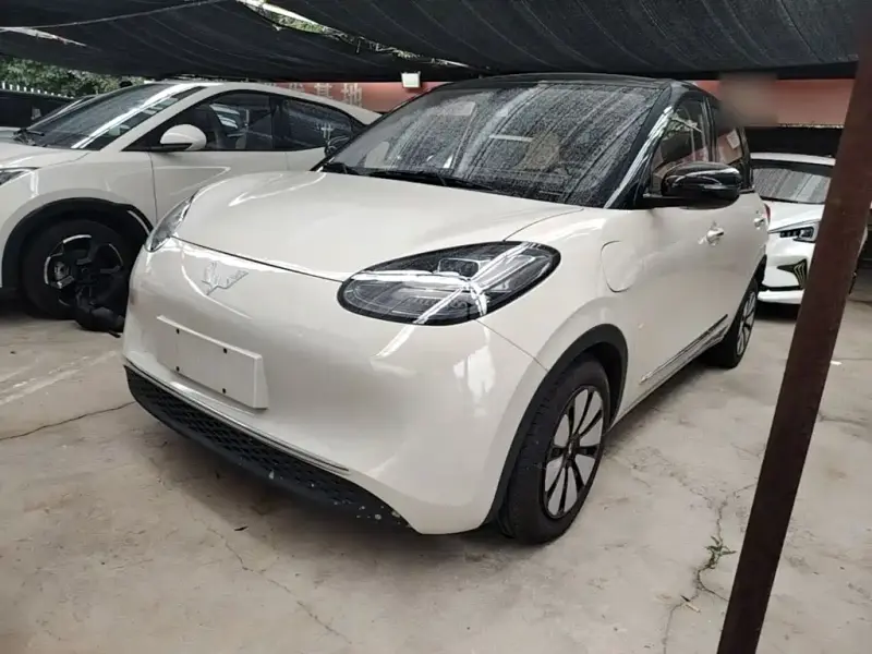 Wuling Bingo