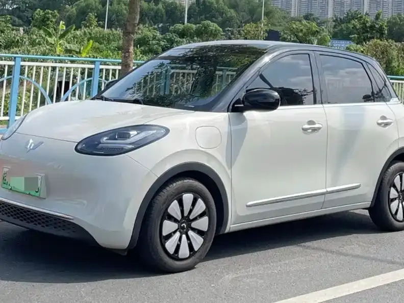 Wuling Bingo
