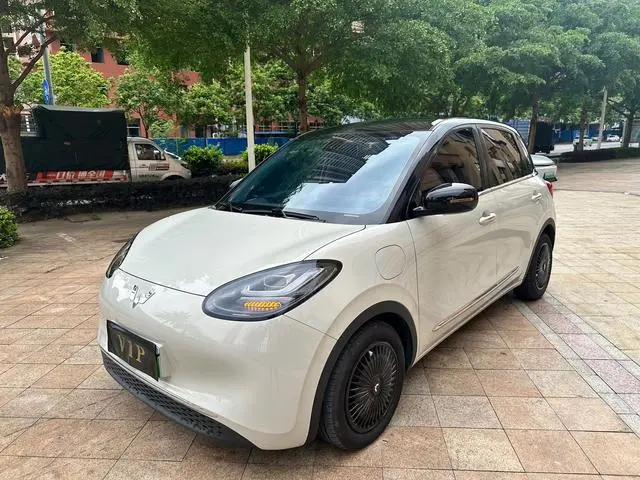 Wuling Bingo