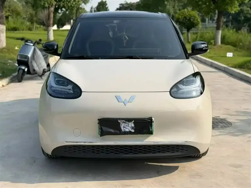 Wuling Bingo