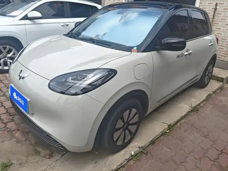 Wuling Bingo