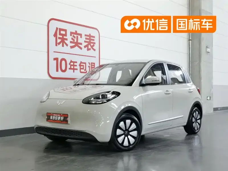 Wuling Bingo