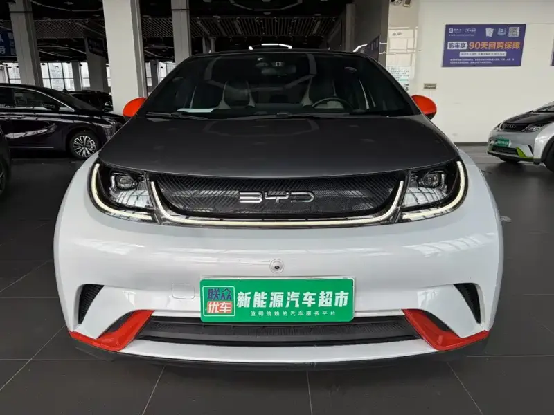 BYD Dolphin