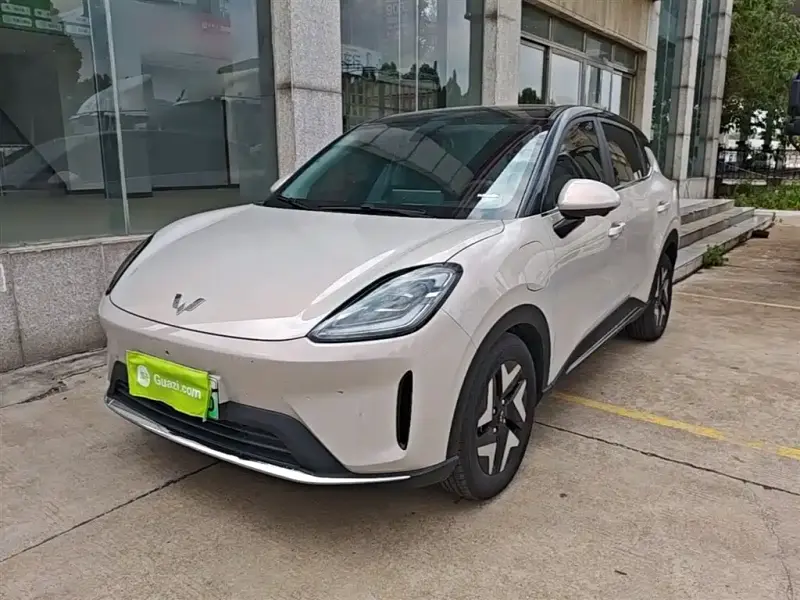 Wuling Bingo S