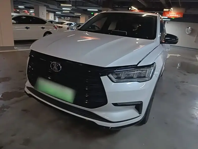 BYD Pro New Energy