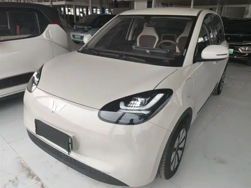 Wuling Bingo