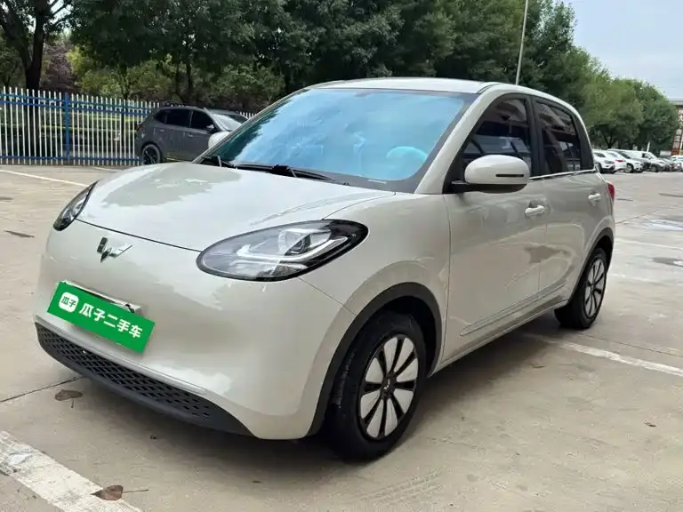 Wuling Bingo