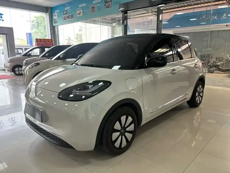 Wuling Bingo