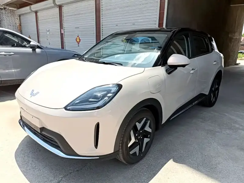 Wuling Bingo S