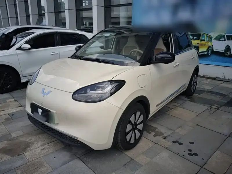 Wuling Bingo
