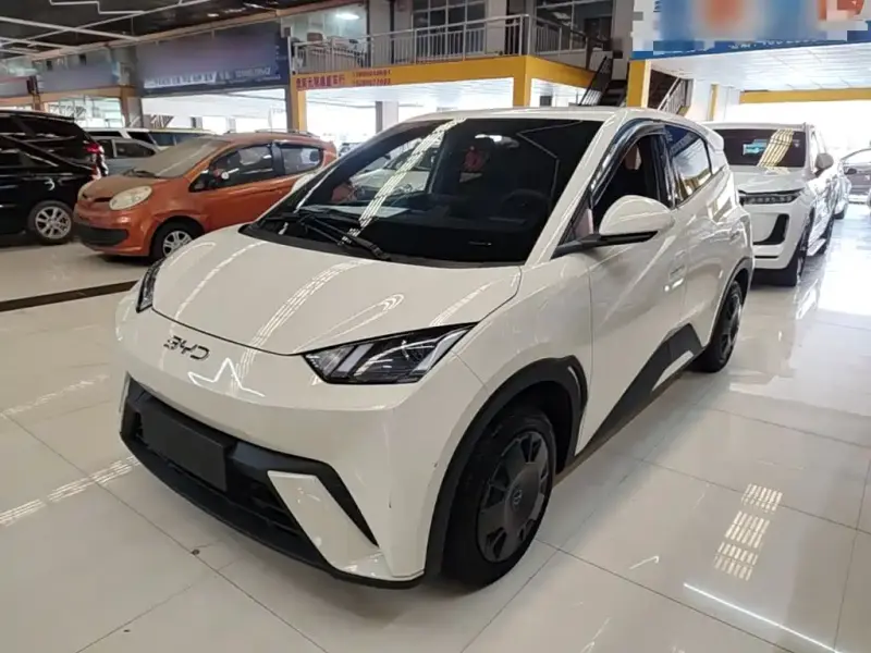 BYD Seagull