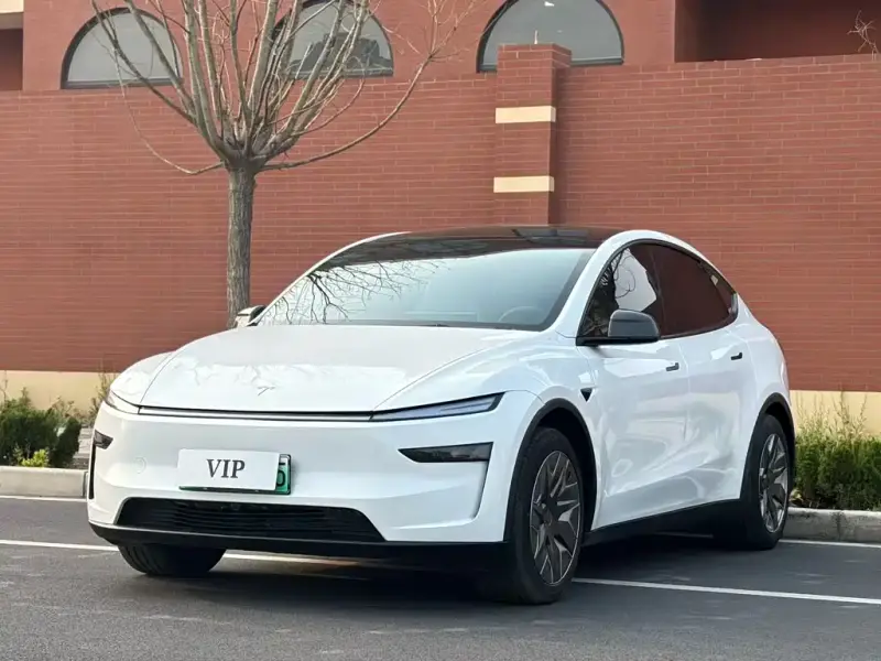 Tesla Model Y L