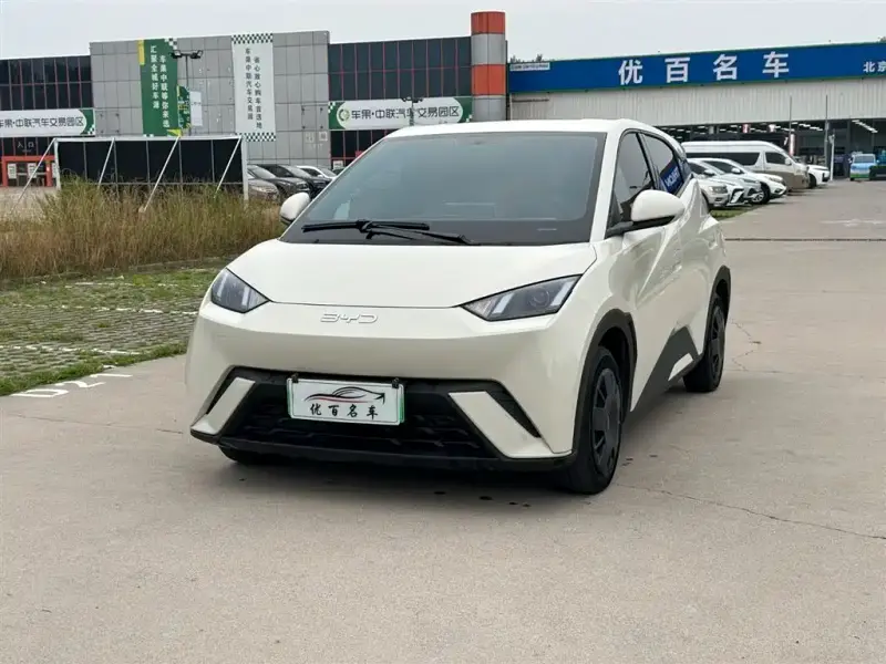 BYD Seagull