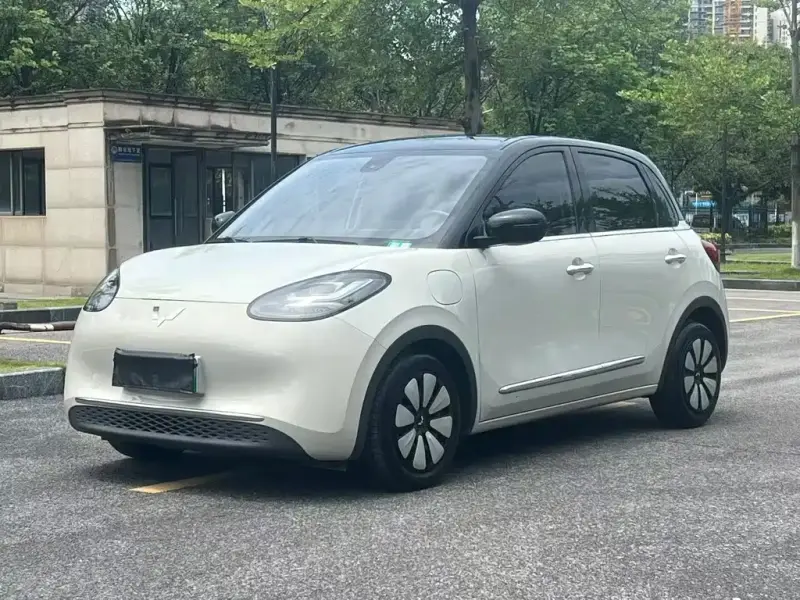 Wuling Bingo