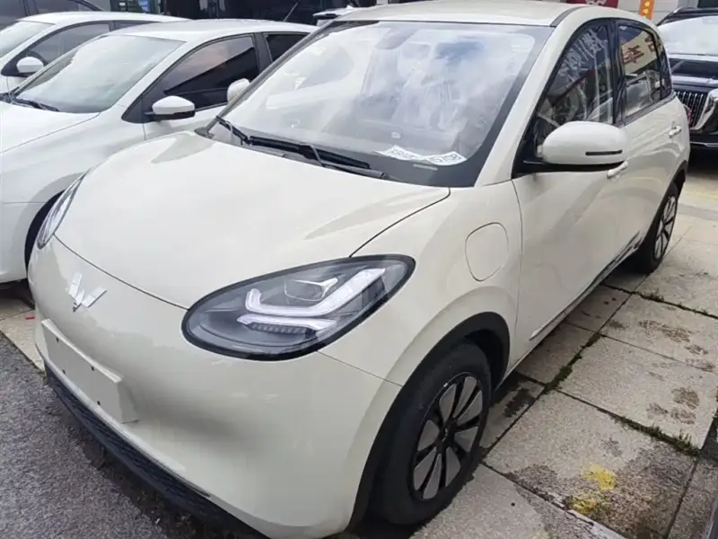 Wuling Bingo
