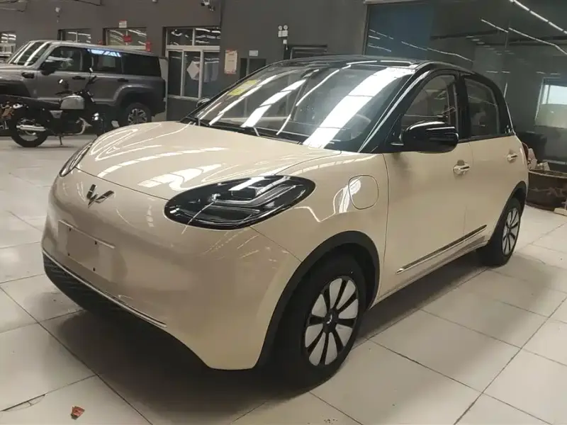 Wuling Bingo
