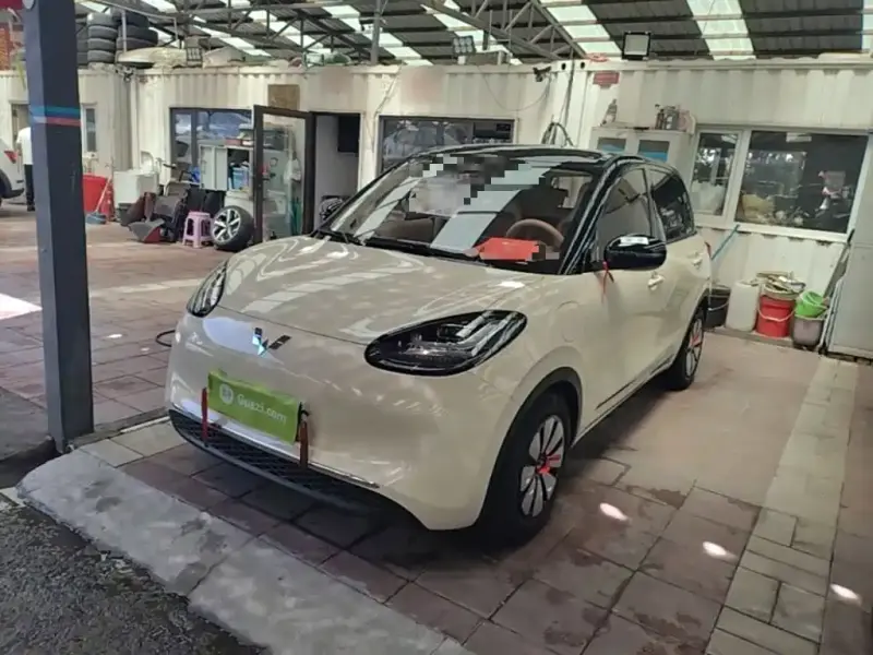 Wuling Bingo