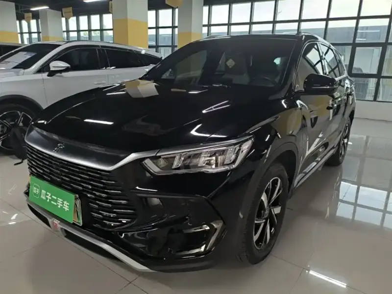 BYD Pro New Energy