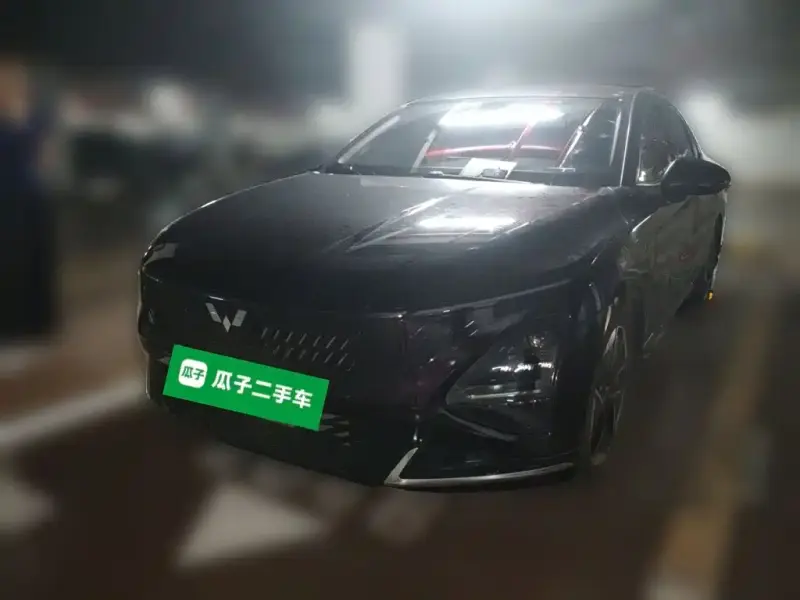 Wuling Starlight (Xingguang)