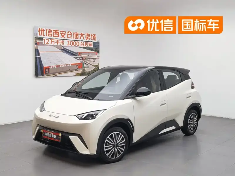 BYD Seagull