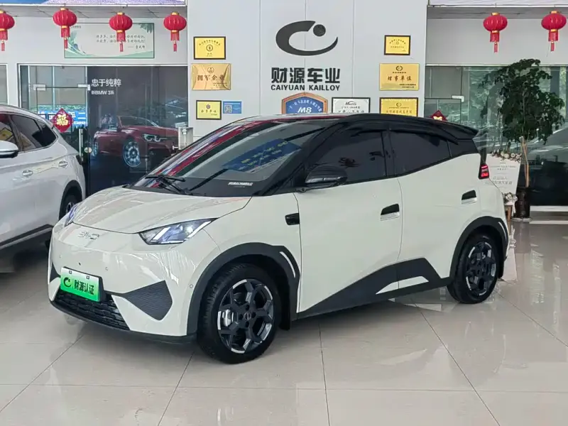 BYD Seagull