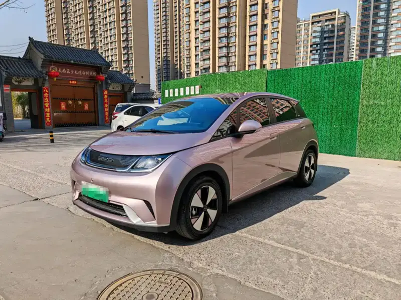 BYD Dolphin