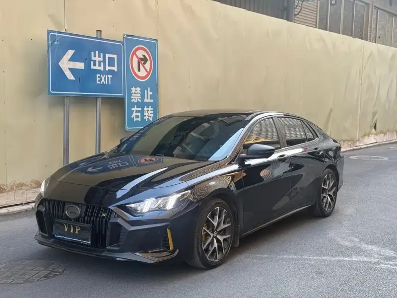 GAC Motor Empow (Shadow Leopard)