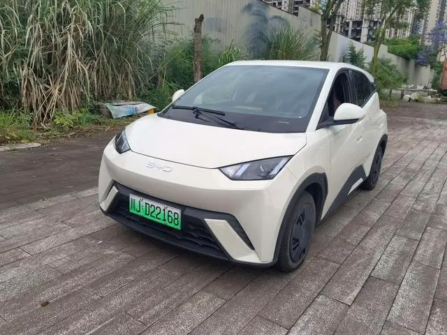 BYD Seagull